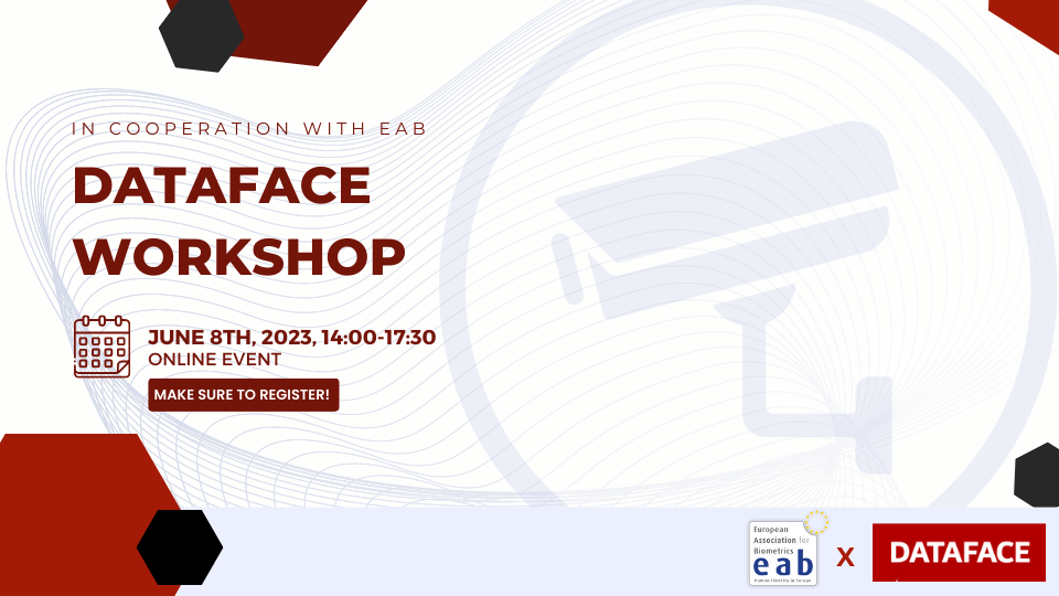 [Illustration] Final Workshop of the DATAFACE Project